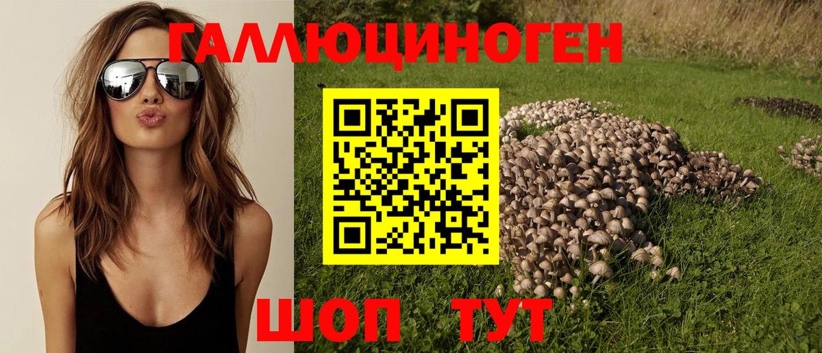 Псилоцибиновые грибы Psilocybe Кимры