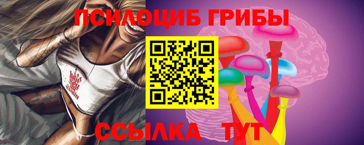 Кимры  Галлюциногенные грибы GOLDEN TEACHER  Галлюциногенные грибы Psilocybine cubensis  Вход с VPN 